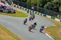 Orange Bikes